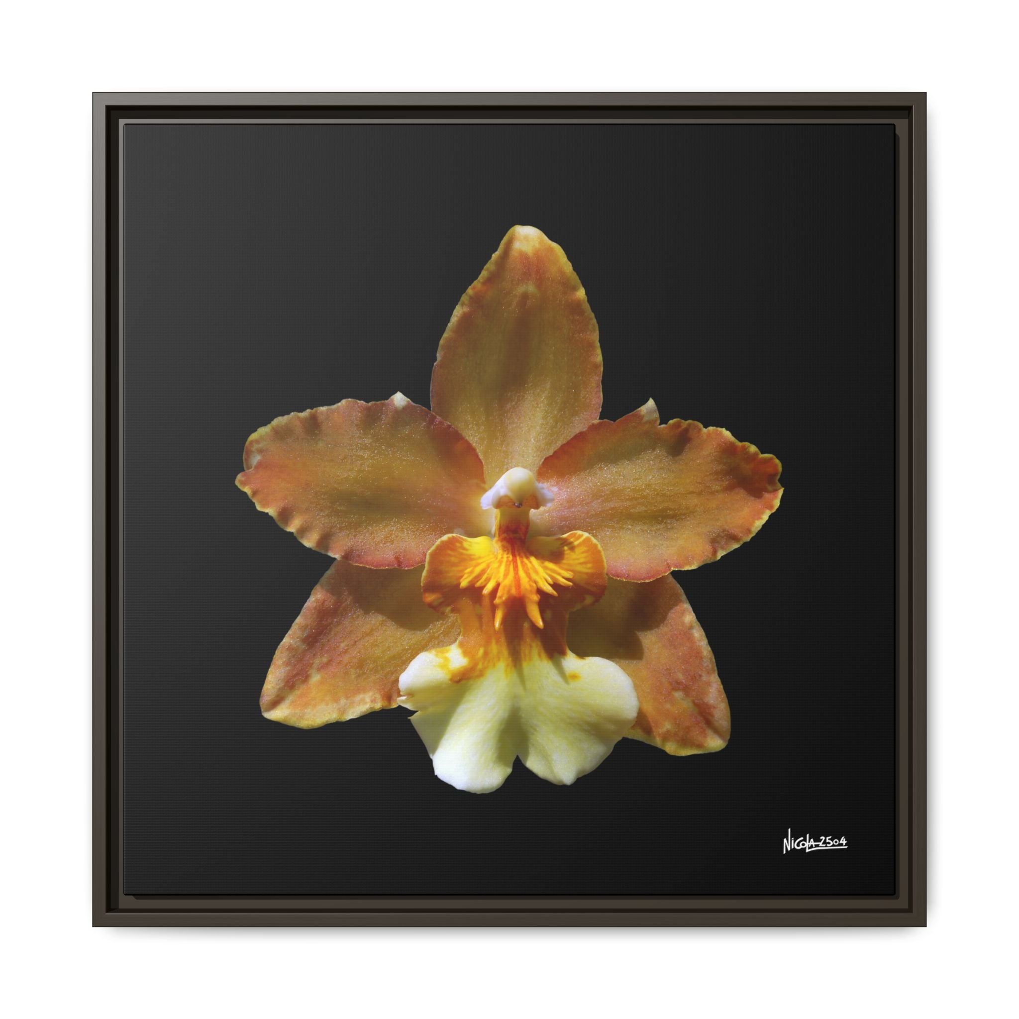 Golden Harmony Framed - 24X24