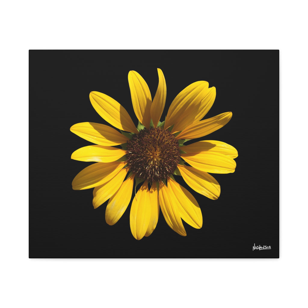Radiant Inner Sun - 24X20