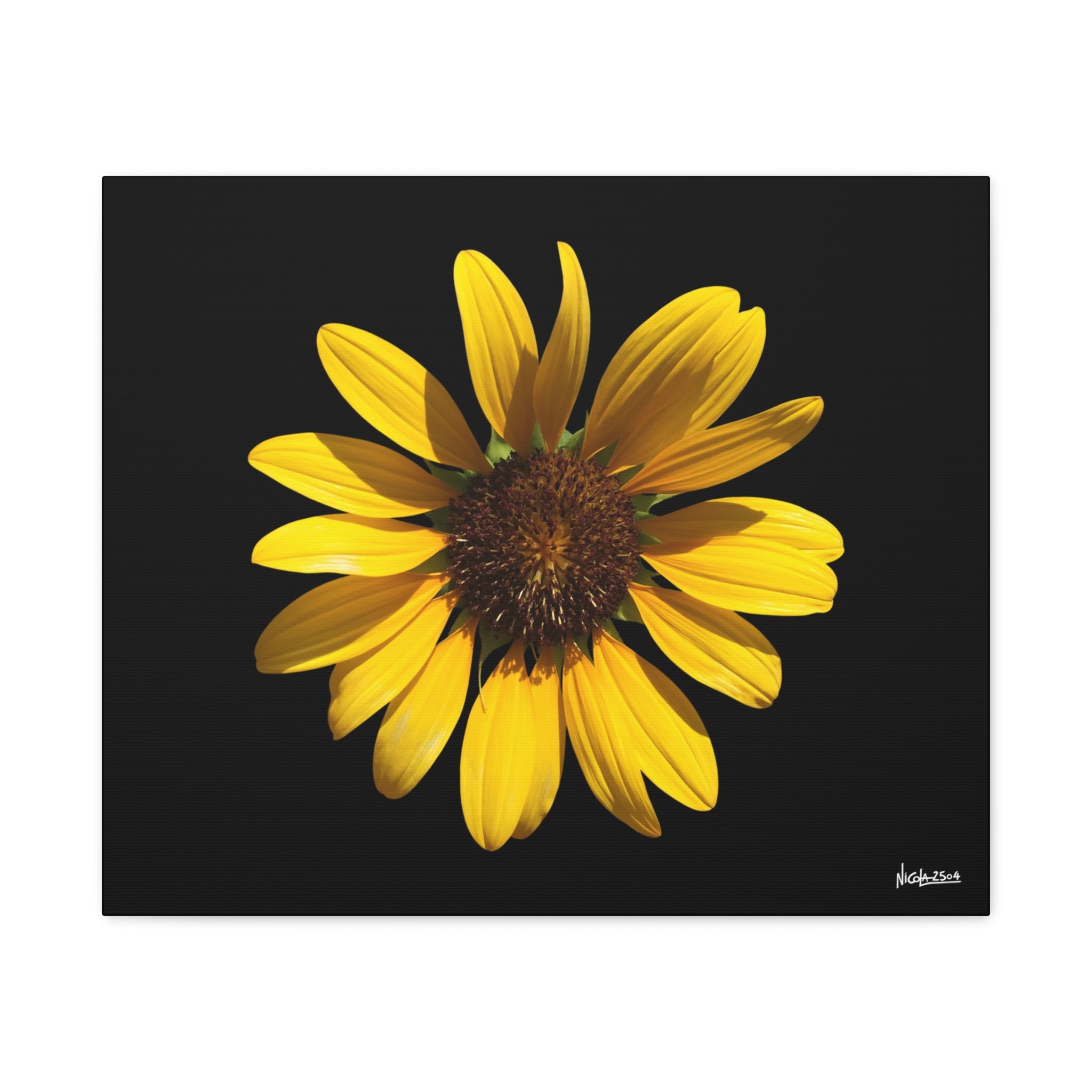 Radiant Inner Sun - 24X20