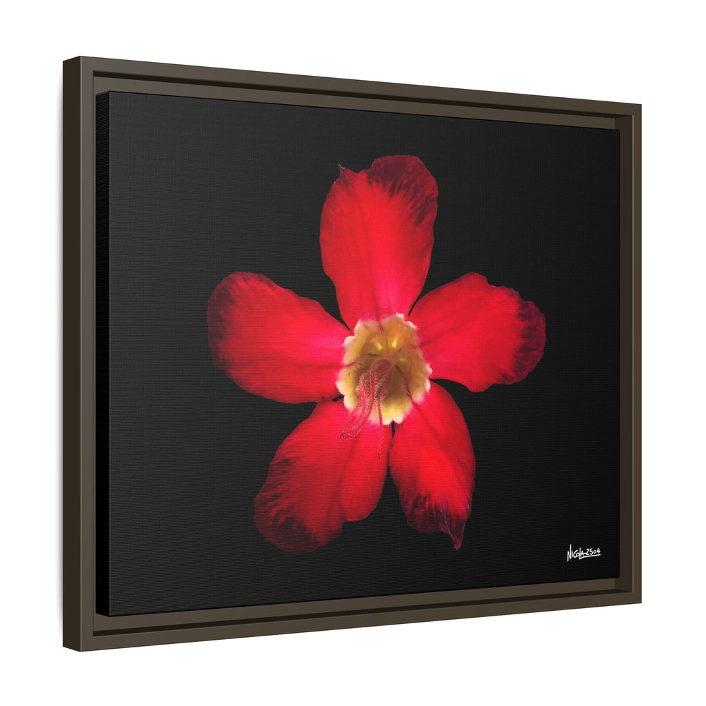 Passion in Bloom Framed - 20X16