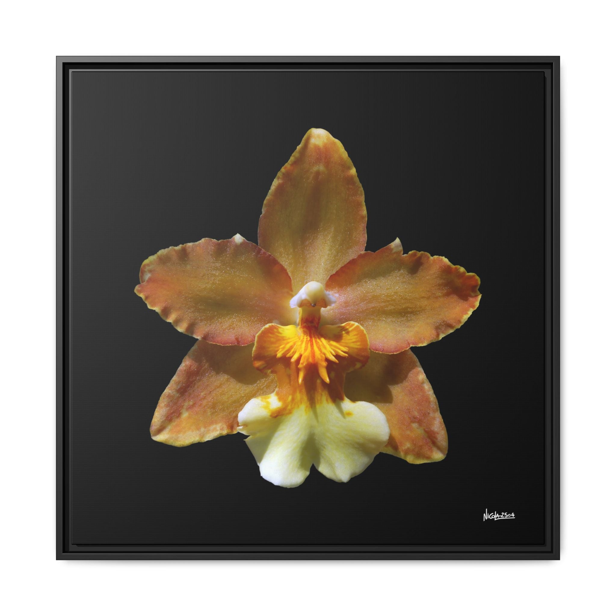Golden Harmony Framed - 30X30