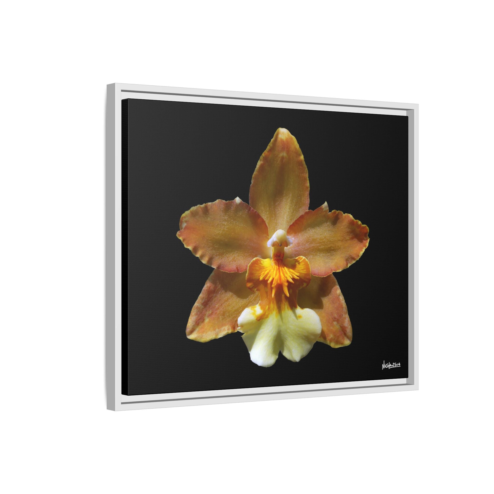 Golden Harmony Framed - 24X20