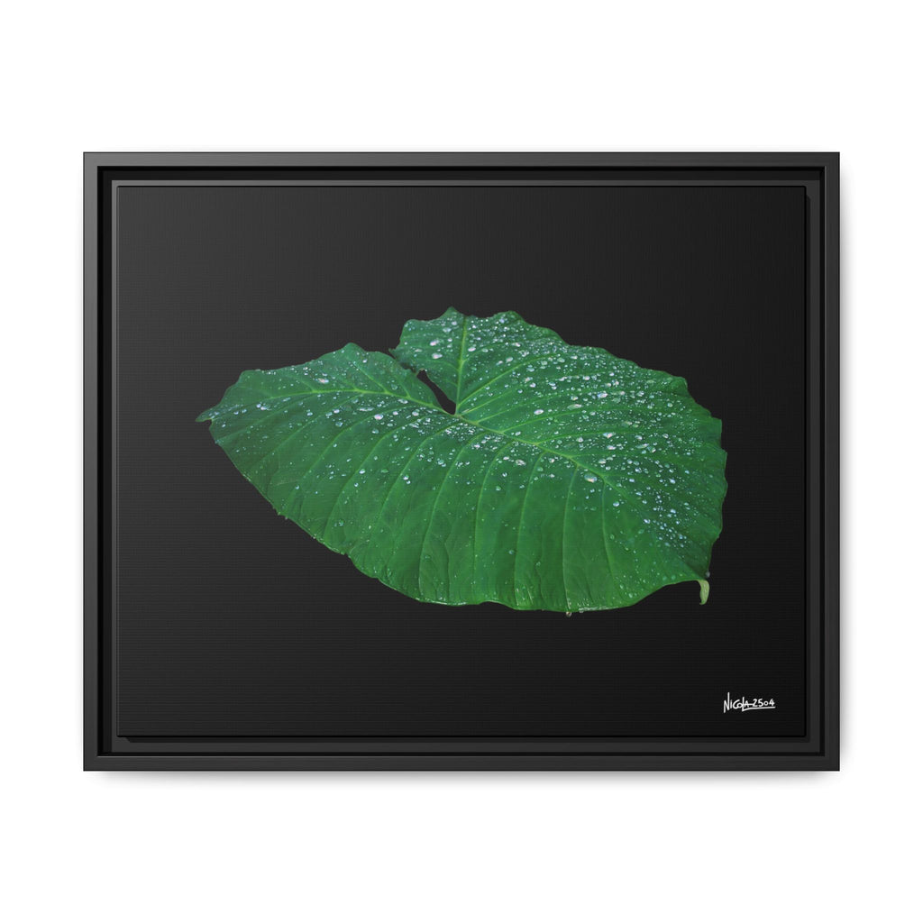 Blessing of the Rain Framed - 20X16