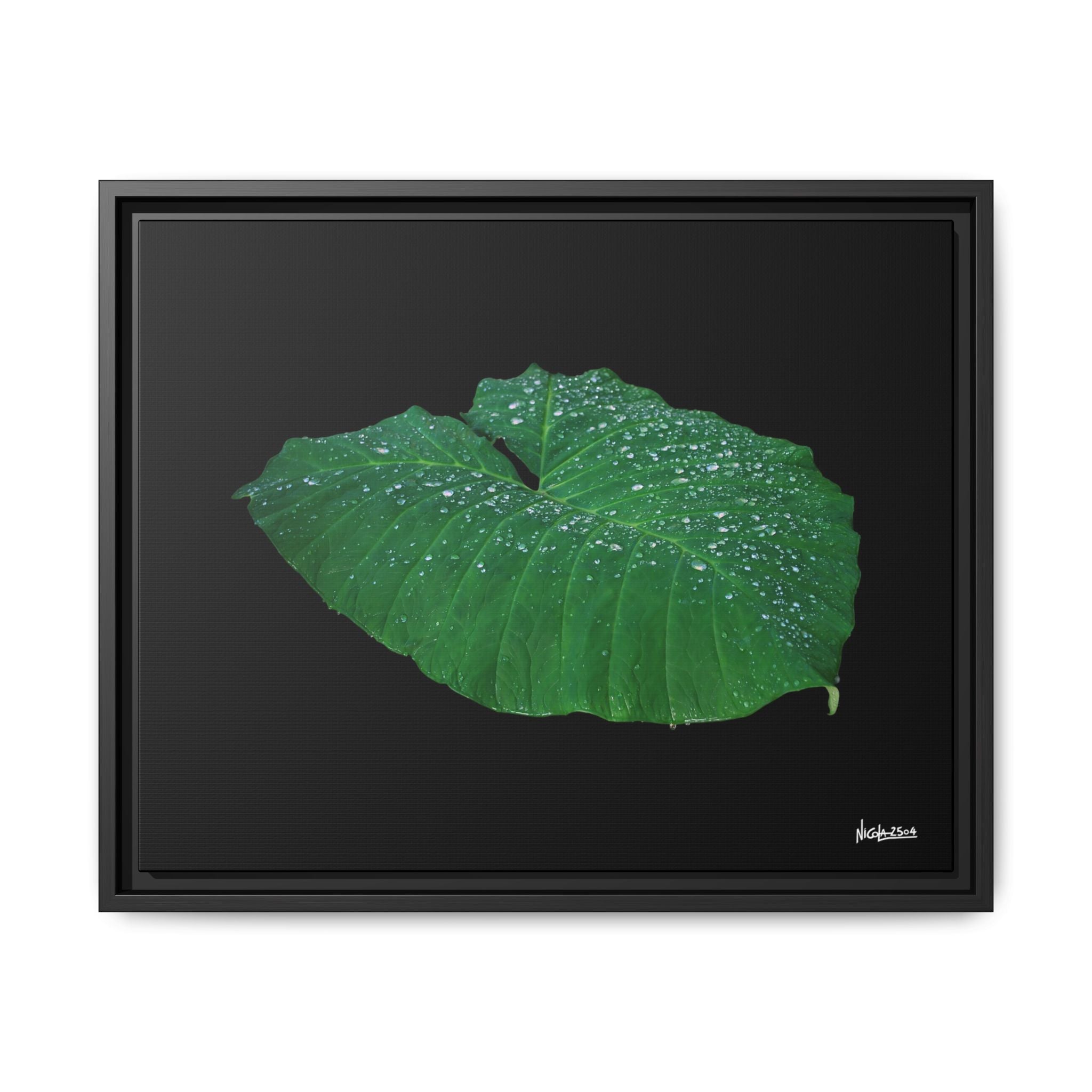 Blessing of the Rain Framed - 20X16