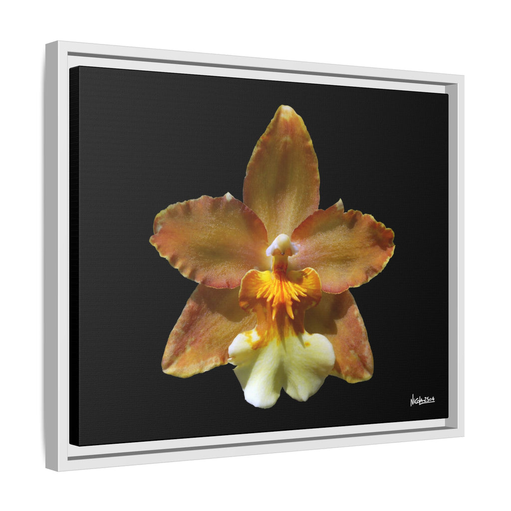 Golden Harmony Framed - 20X16