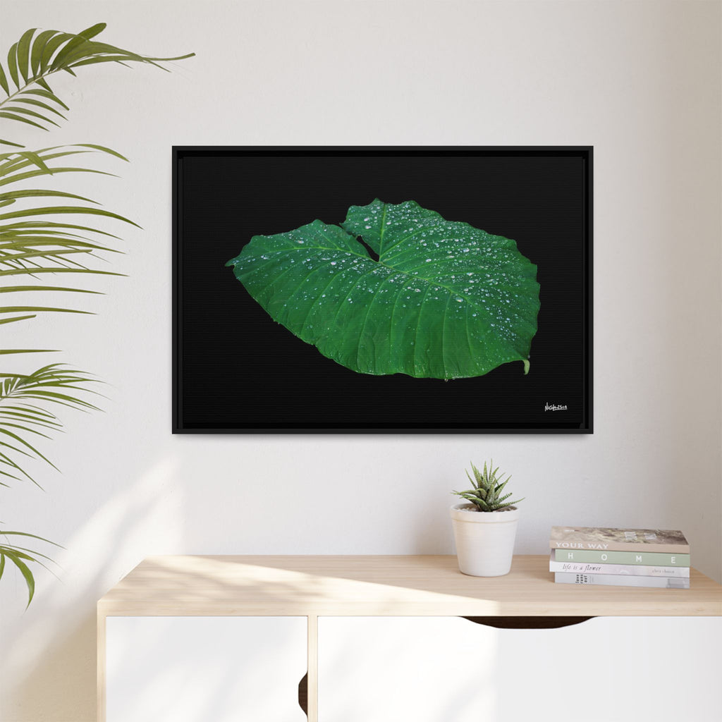 Blessing of the Rain Framed - 36X24