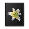 Nature's Paradise Framed - 16X20