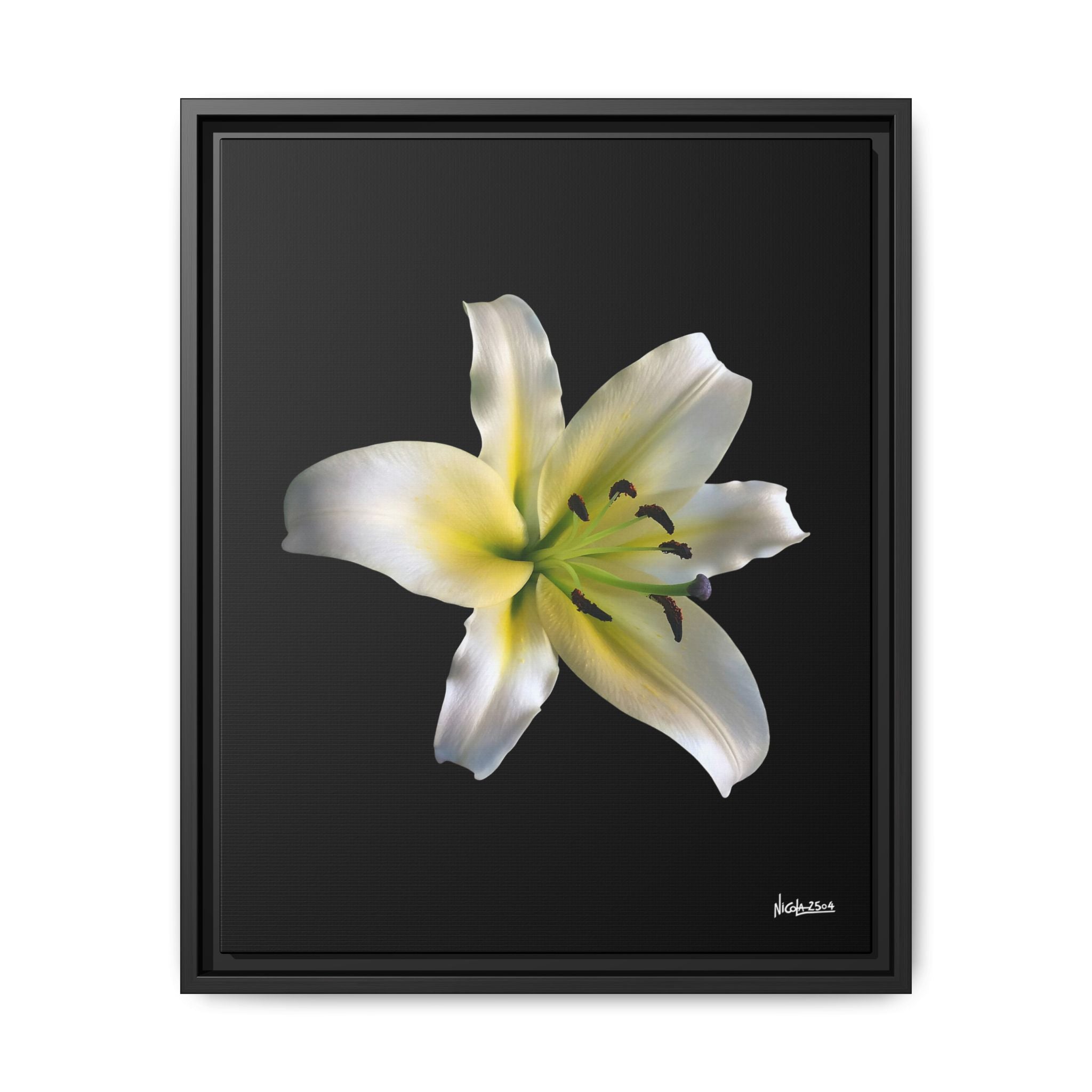 Nature's Paradise Framed - 16X20