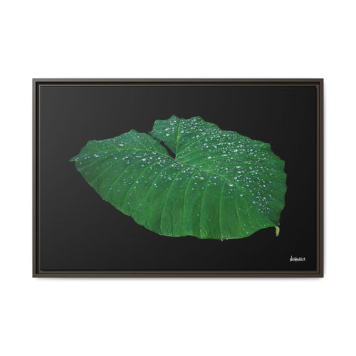 Blessing of the Rain Framed - 36X24