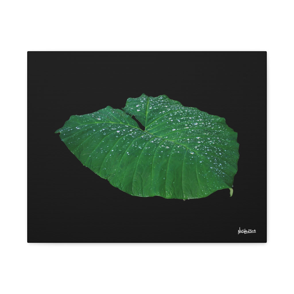 Blessing of the Rain - 20X16