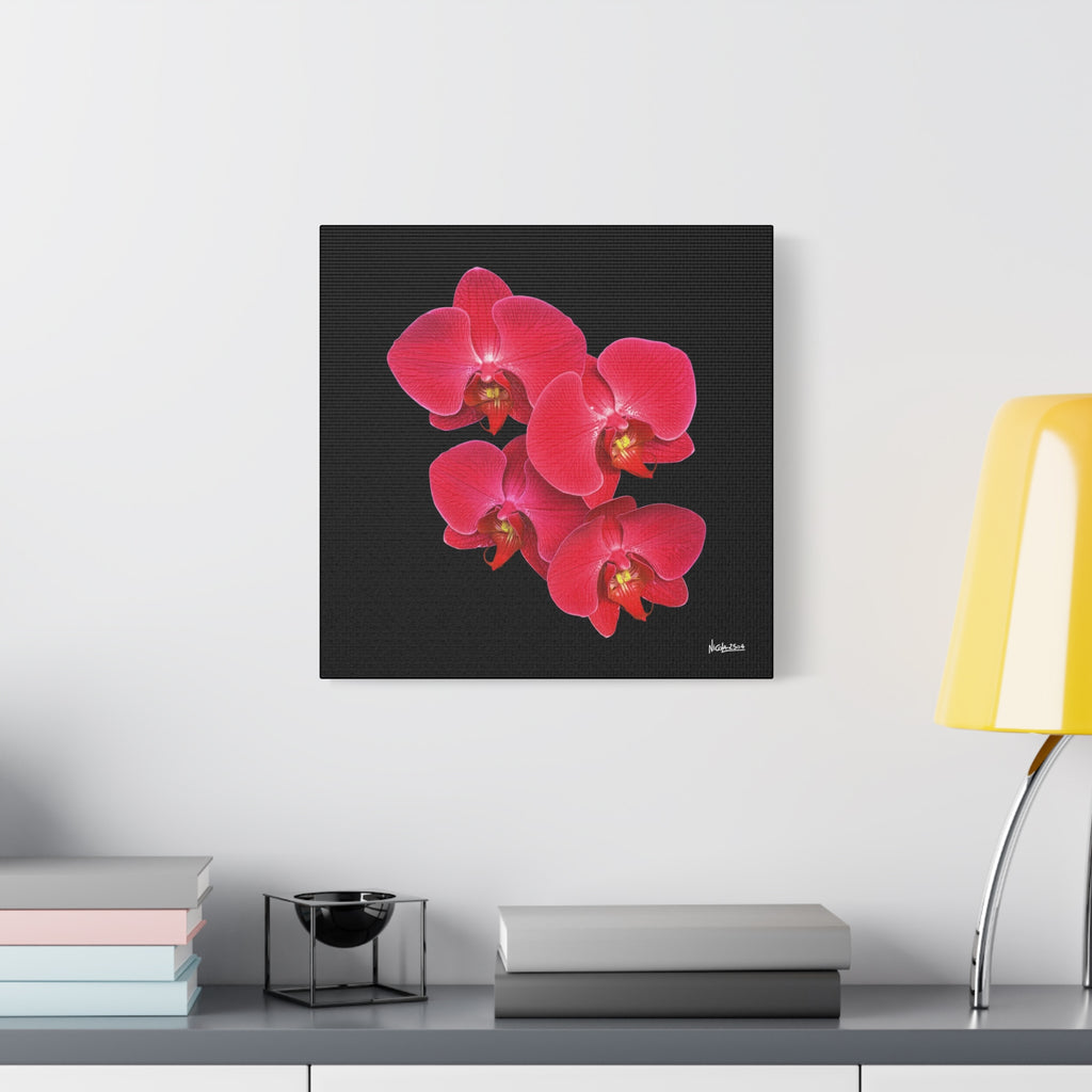 Legacy in Bloom - 16X16