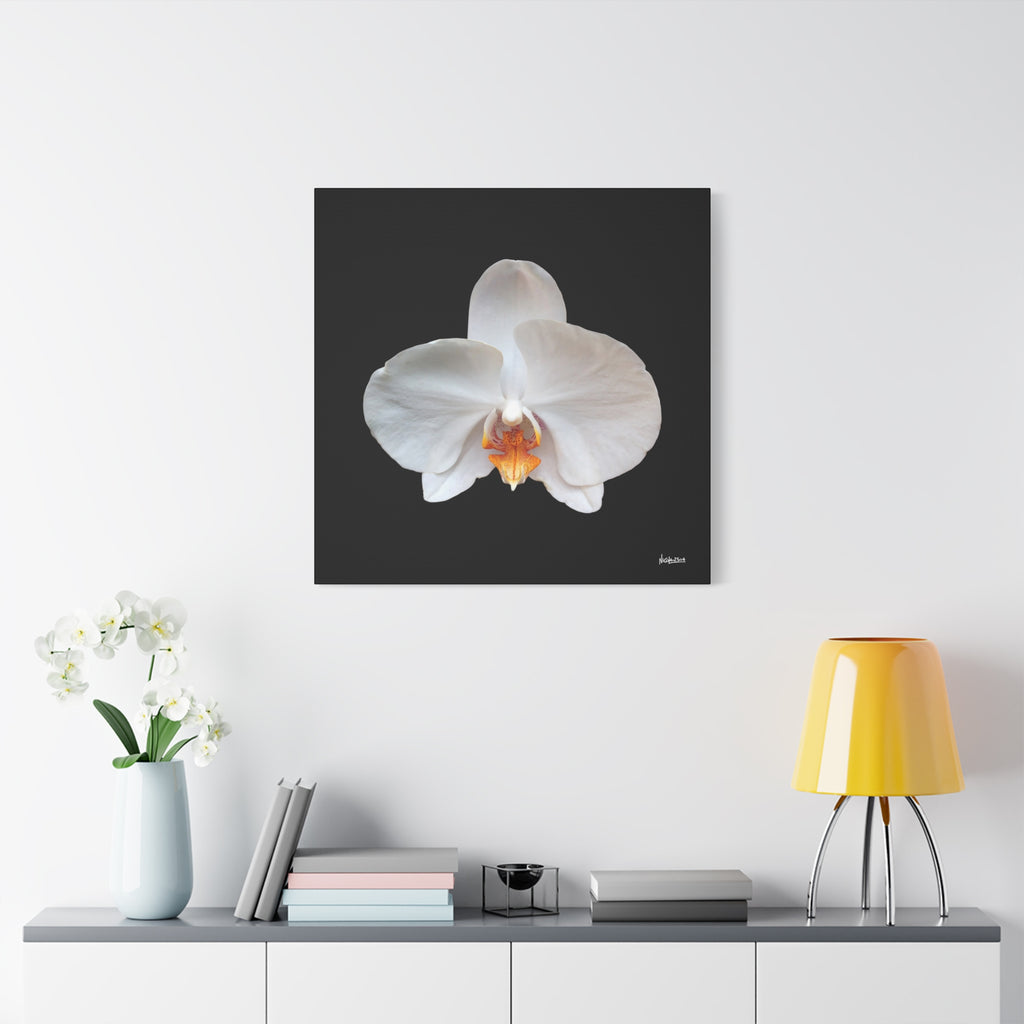 Whisper of the Unseen - 30X30