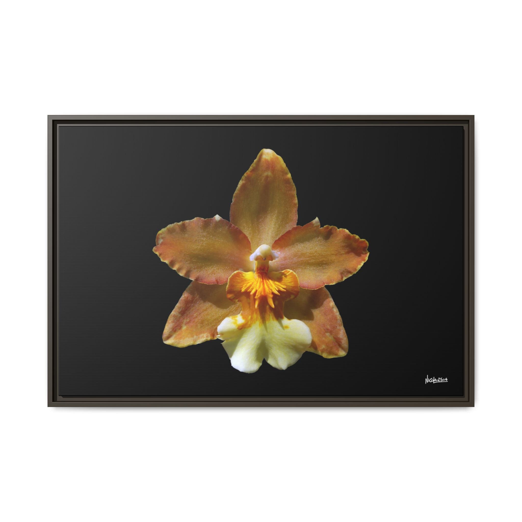 Golden Harmony Framed - 36X24