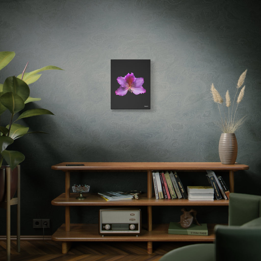 Listening Petals - 16X20