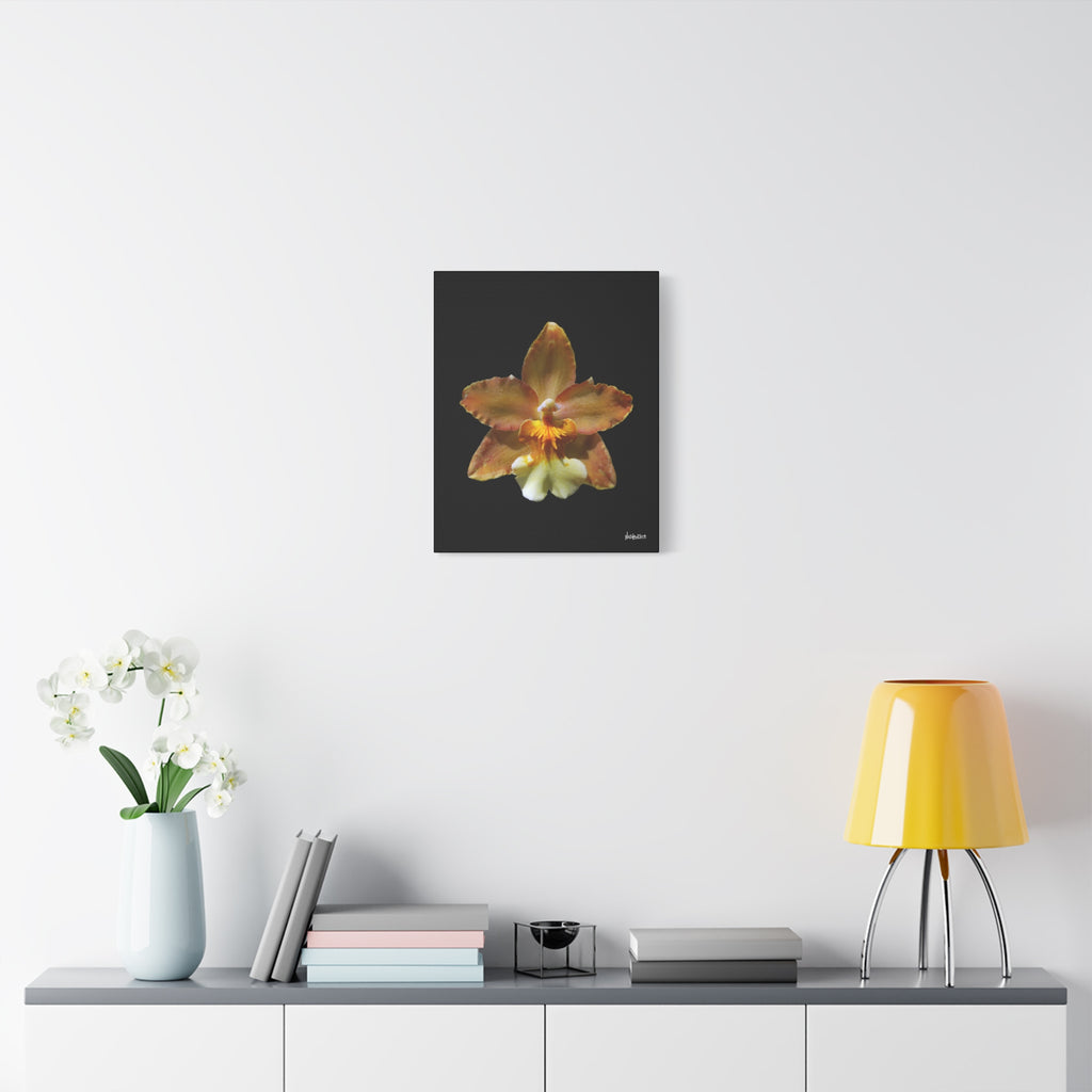 Golden Harmony - 16X20