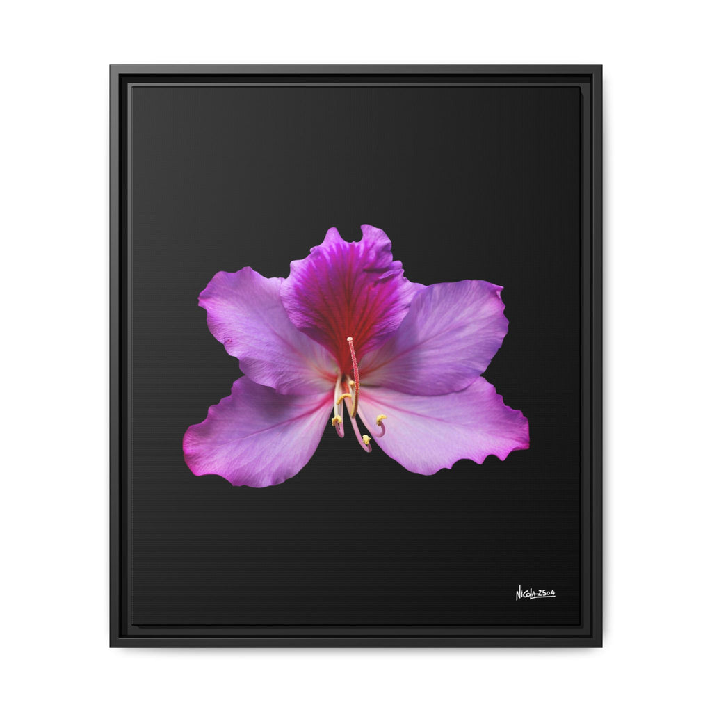 Listening Petals Framed - 20X24