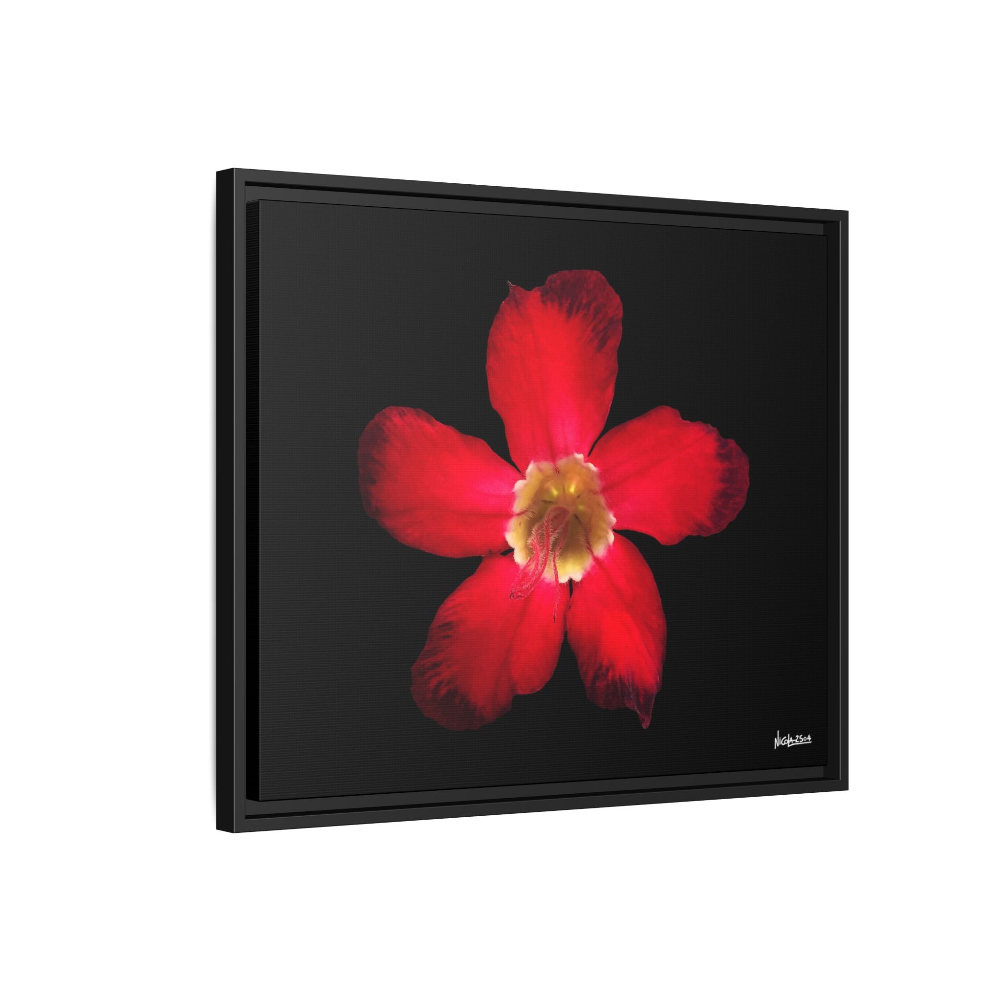 Passion in Bloom Framed - 24X20