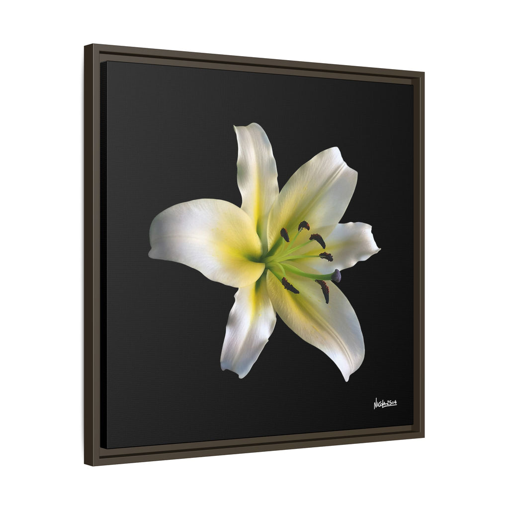 Nature's Paradise Framed - 24X24