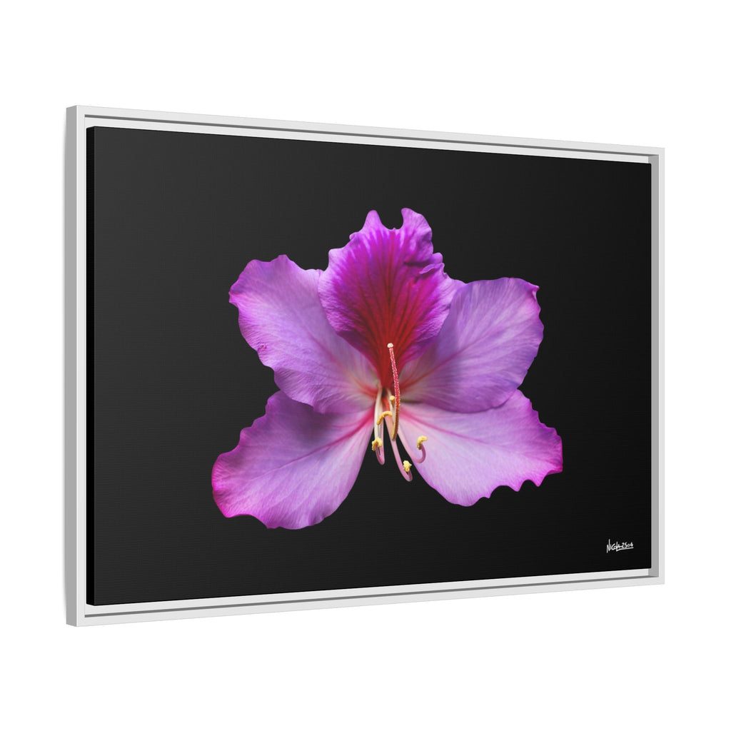 Listening Petals Framed - 36X24