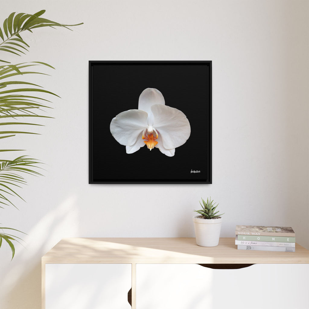 Whispers of the Unseen Framed - 24X24