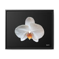 Whispers of the Unseen Framed - 20X16