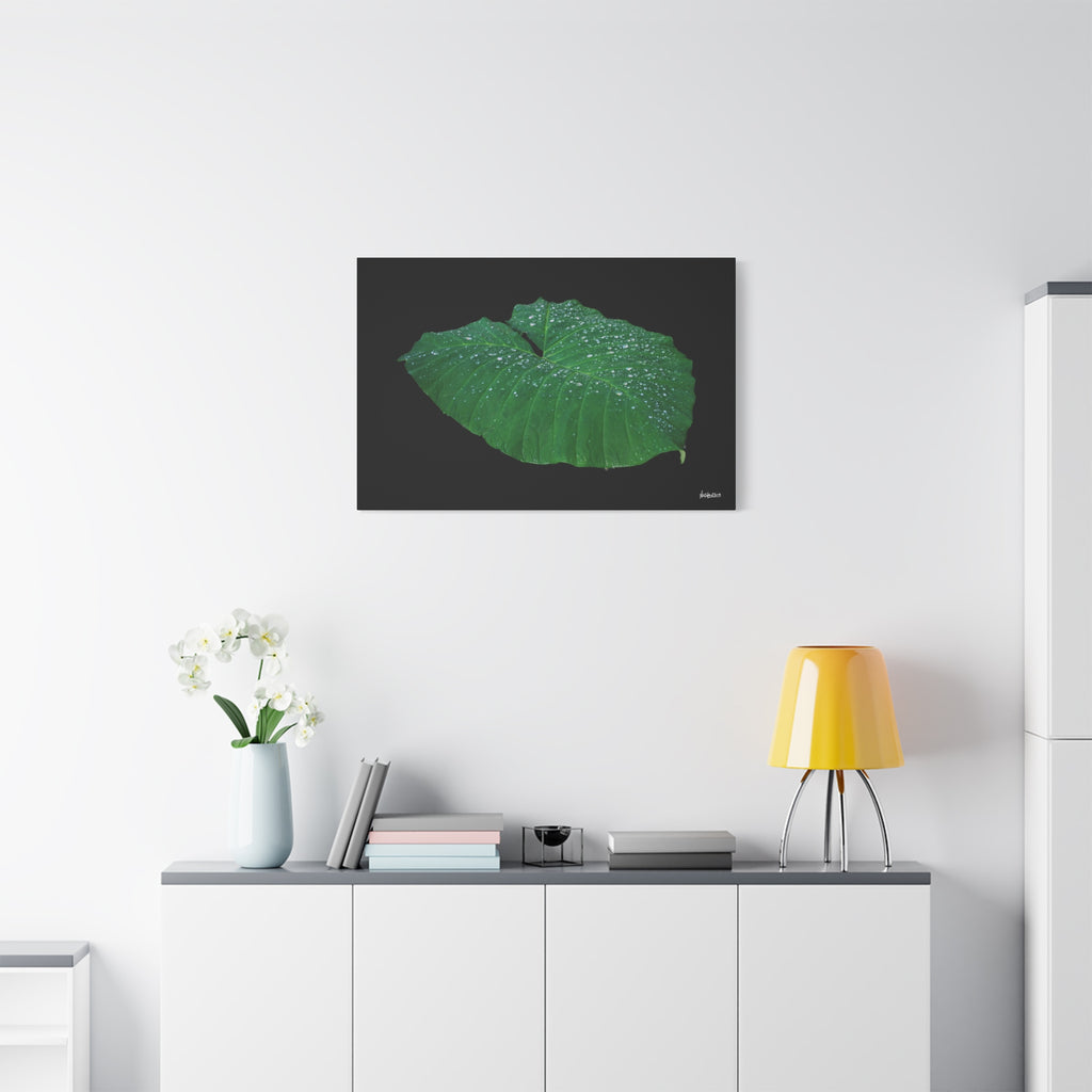 Blessing of the Rain - 36X24