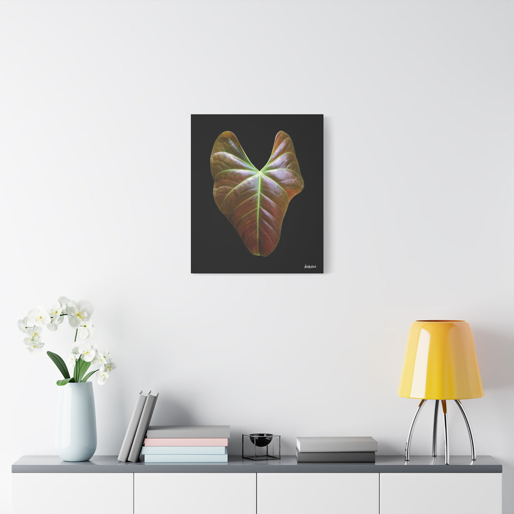 Heart of Earthlight - 20X24