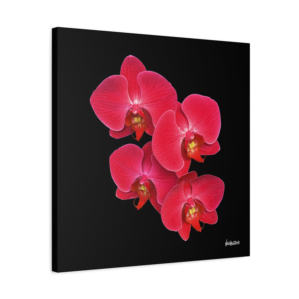 Legacy in Bloom - 24X24