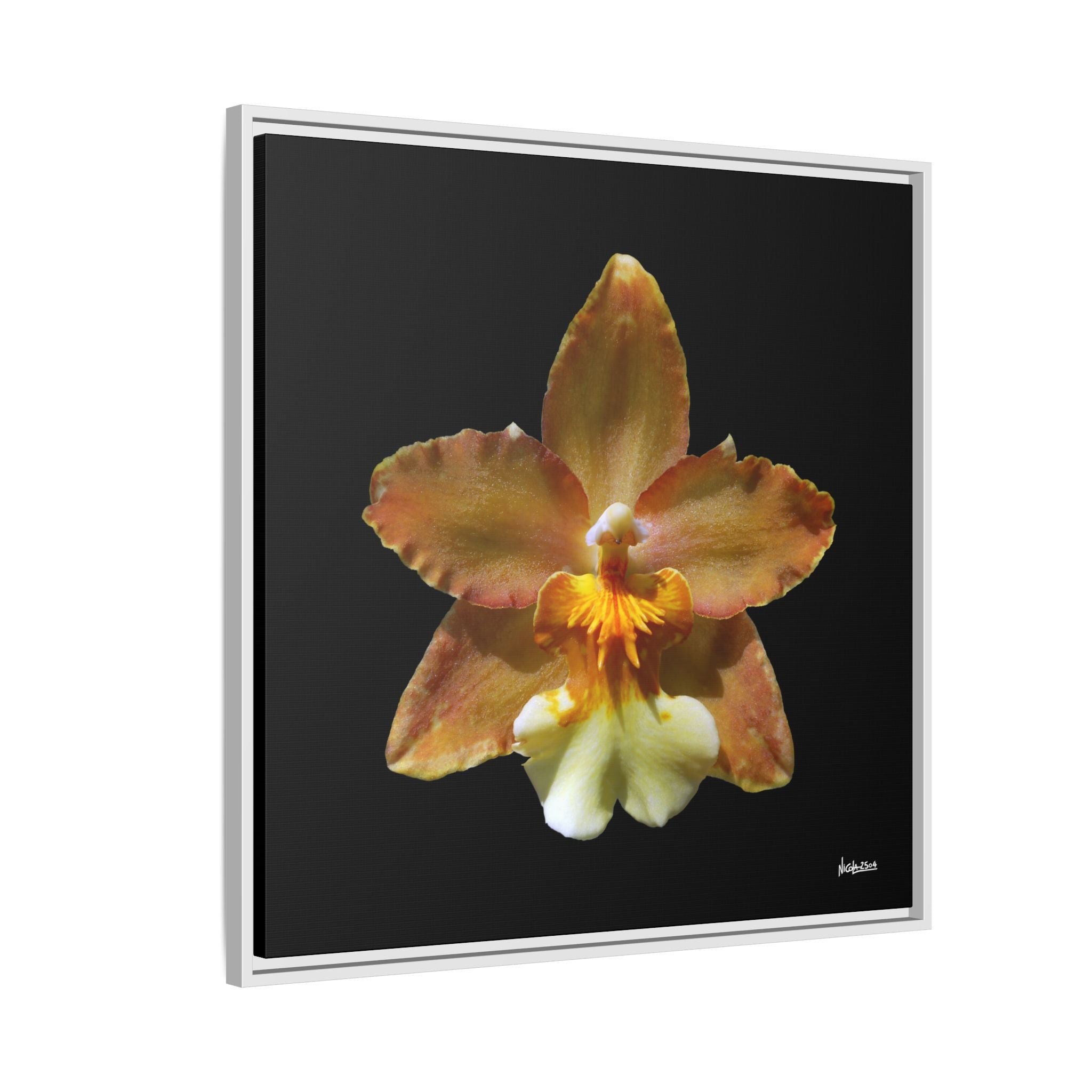 Golden Harmony Framed - 30X30