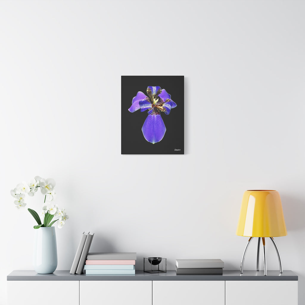 Gift of the Wait - 16X20