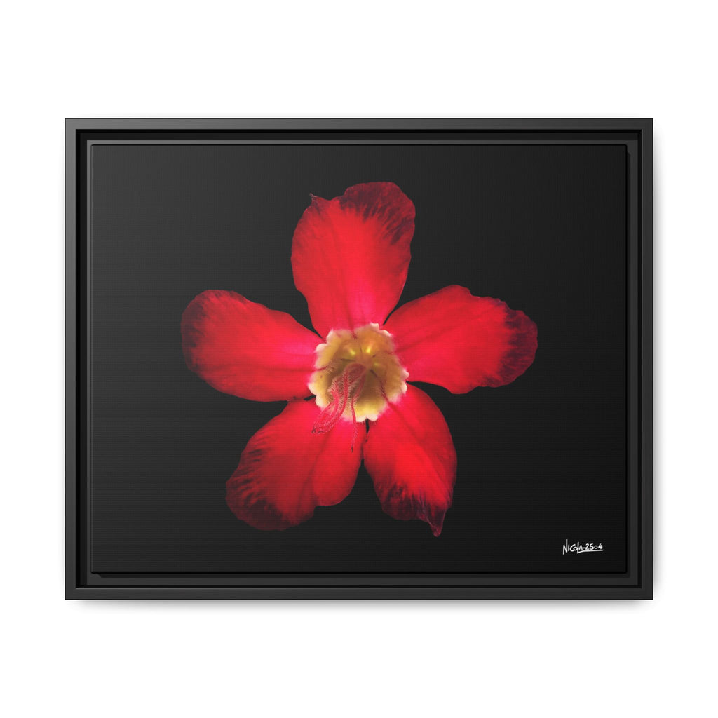 Passion in Bloom Framed - 20X16