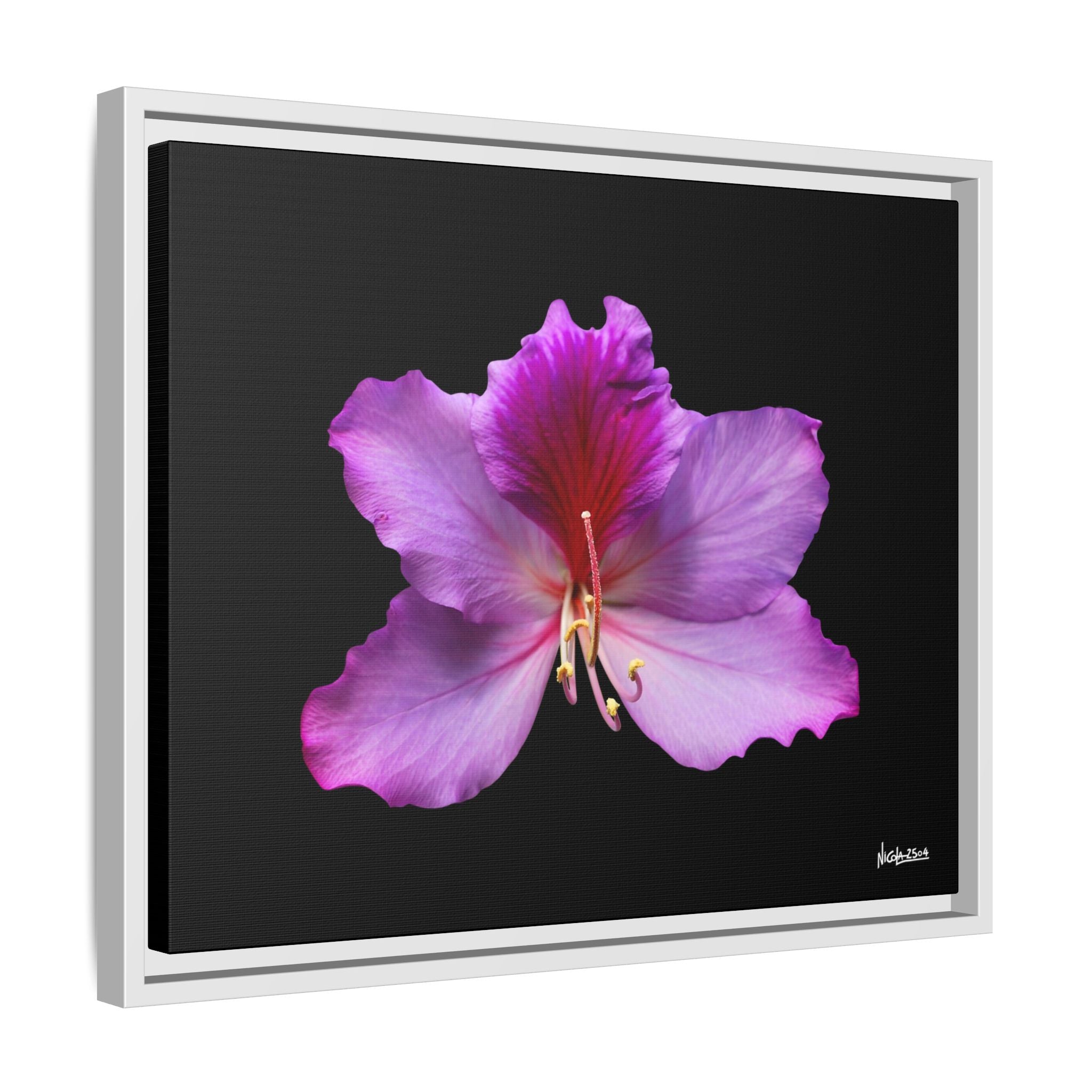 Listenig Petals Framed - 20X16