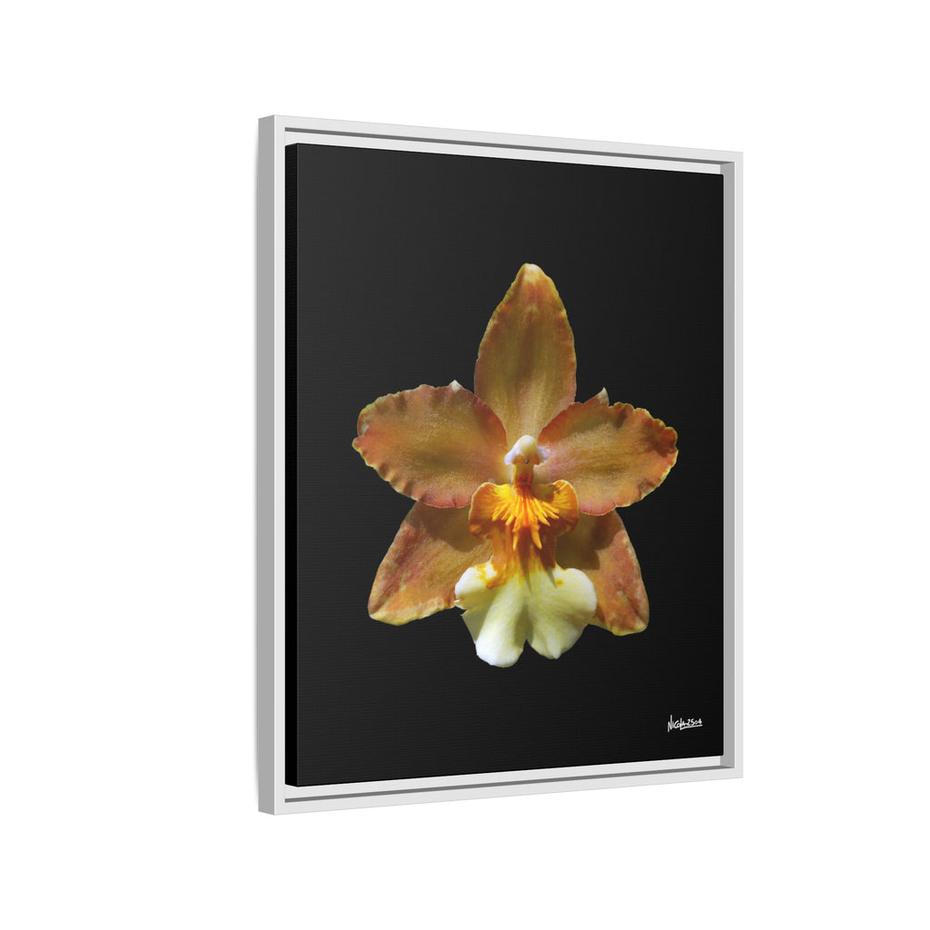 Golden Harmony Framed - 20X24