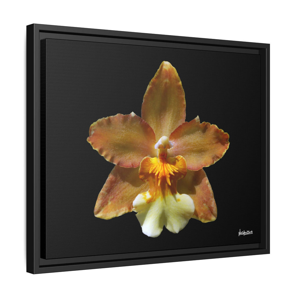 Golden Harmony Framed - 20X16