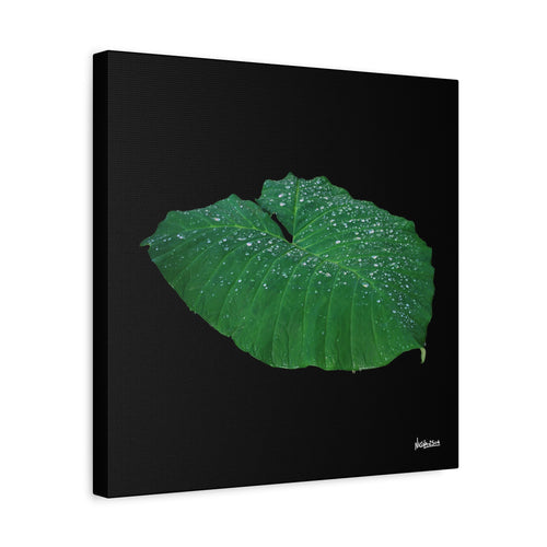 Blessing of the Rain - 16X16