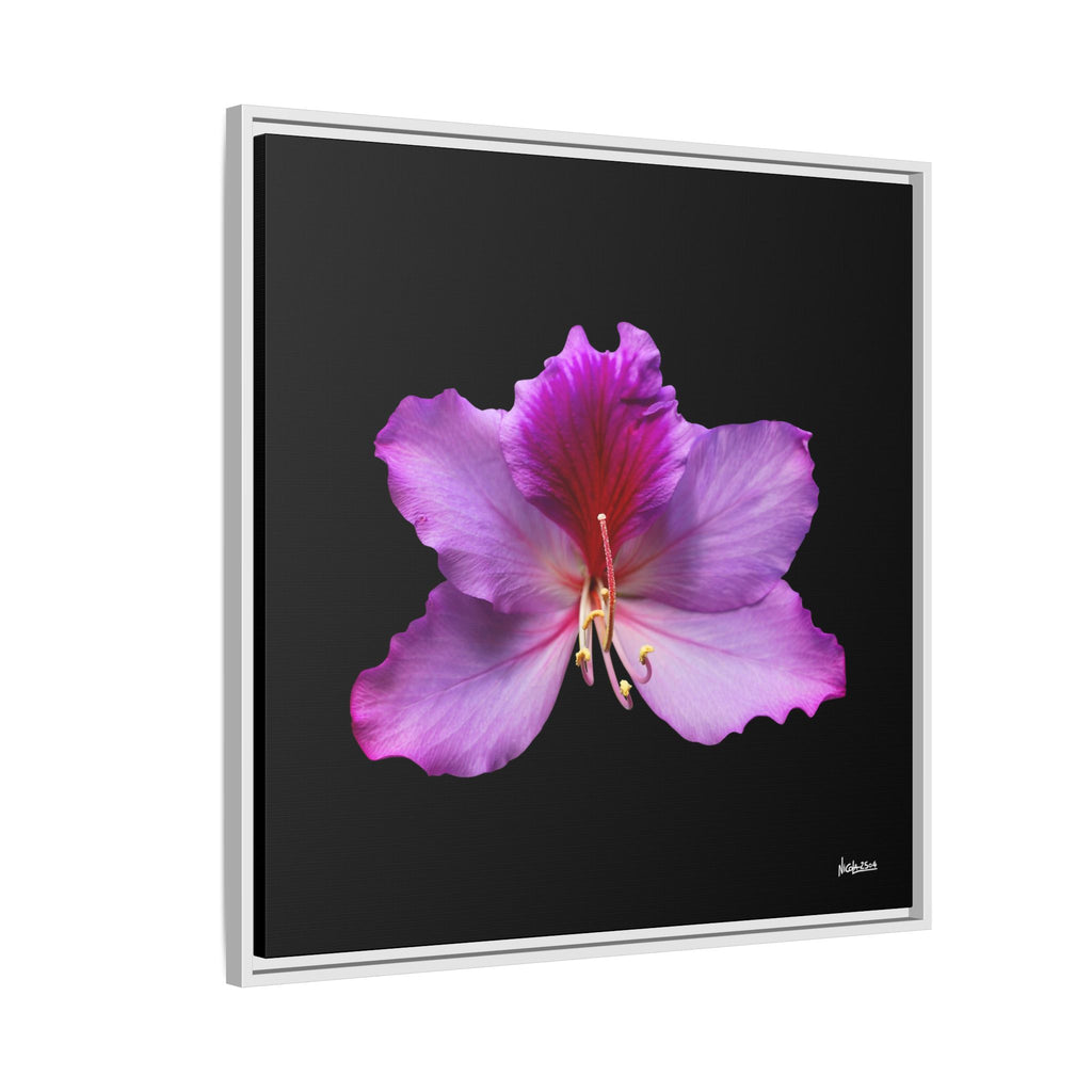 Listening Petals Framed - 30X30