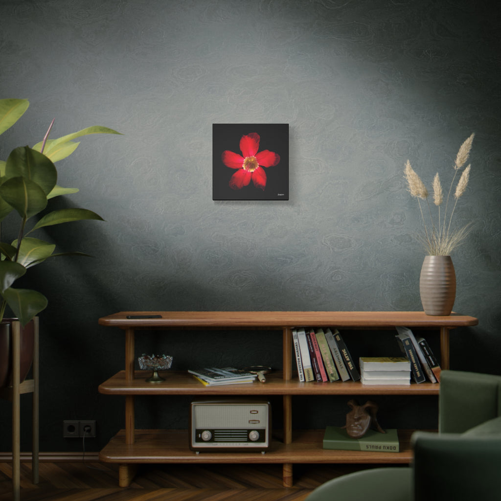 Passion in Bloom - 16X16