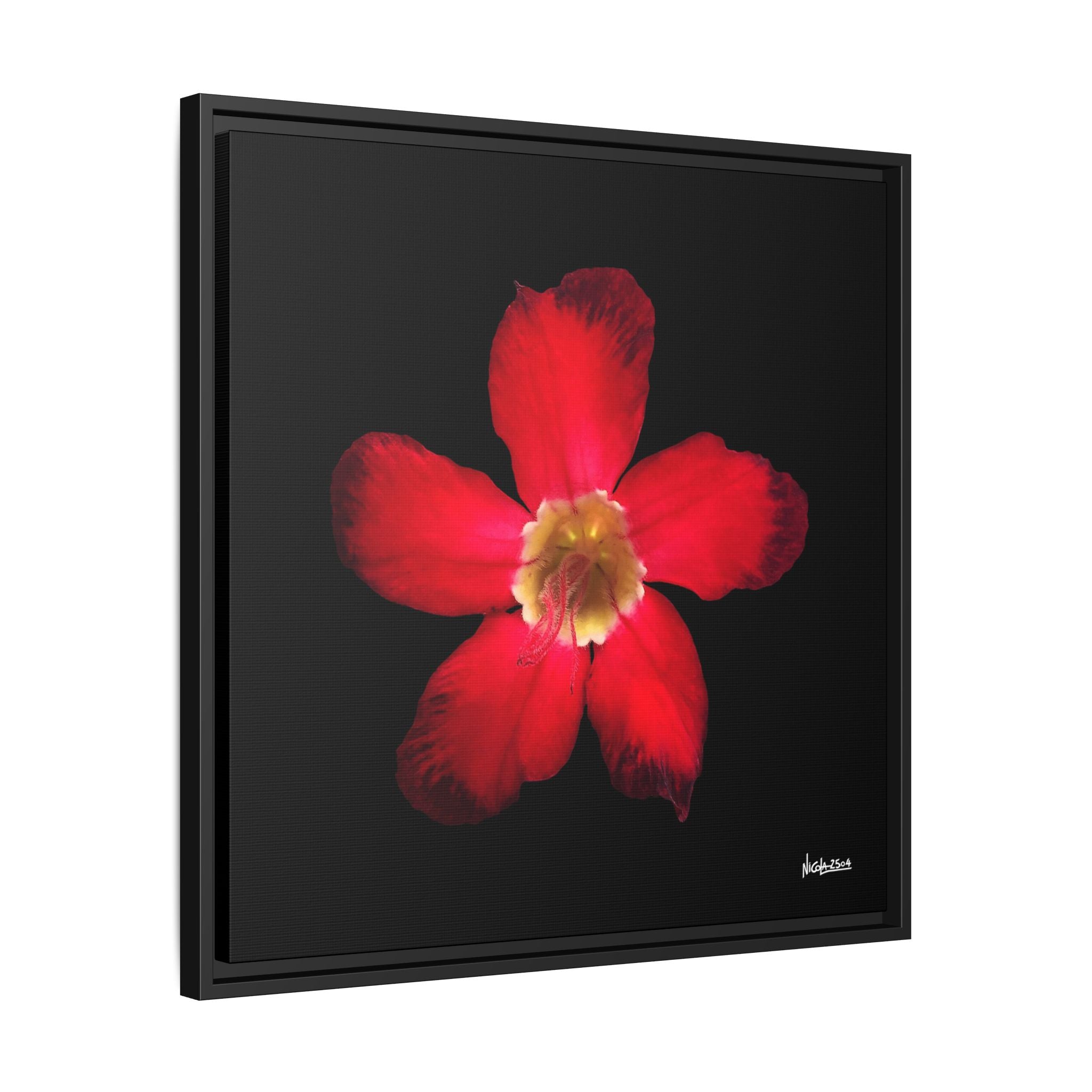 Passion in Bloom Framed - 24X24