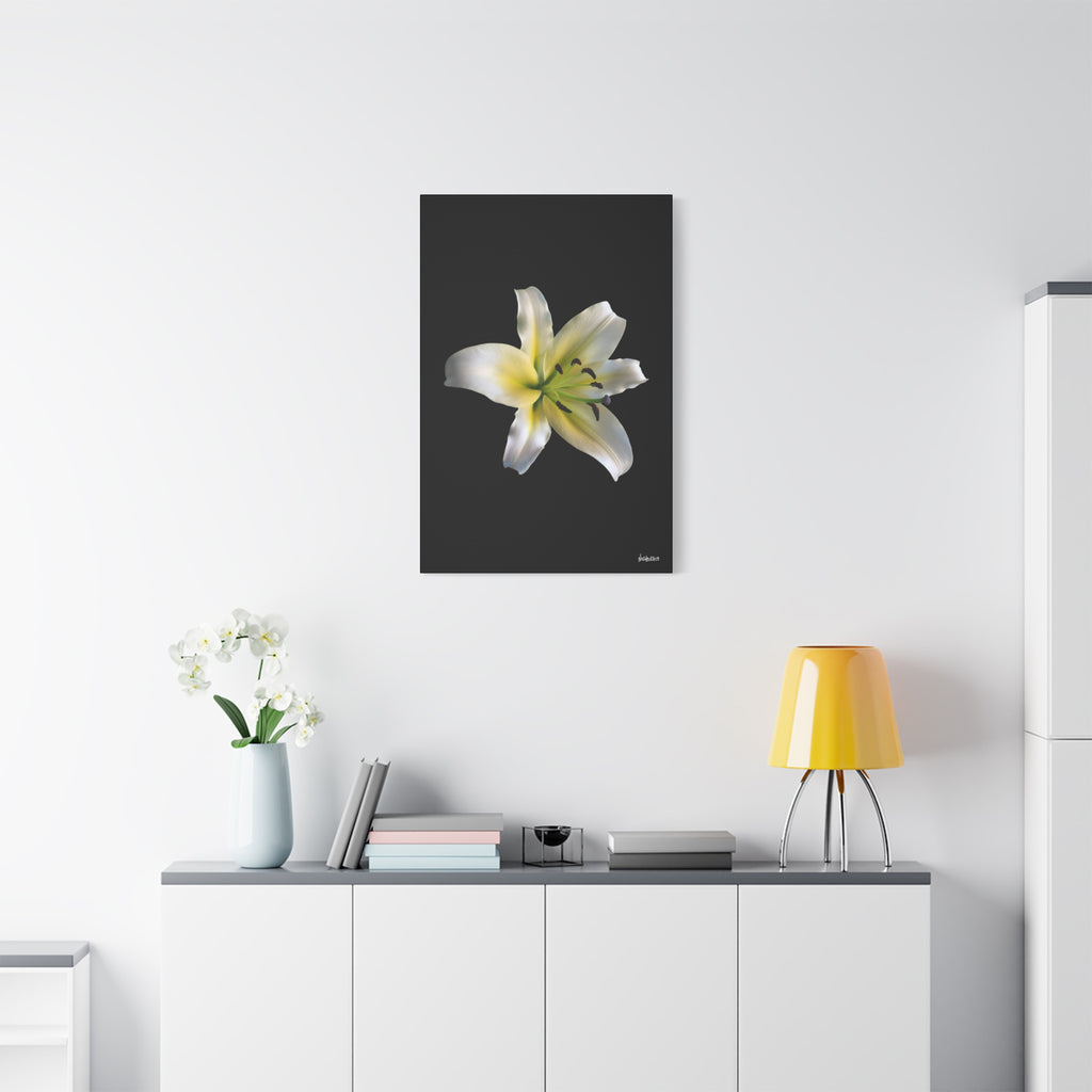 Nature's Paradise - 24X36