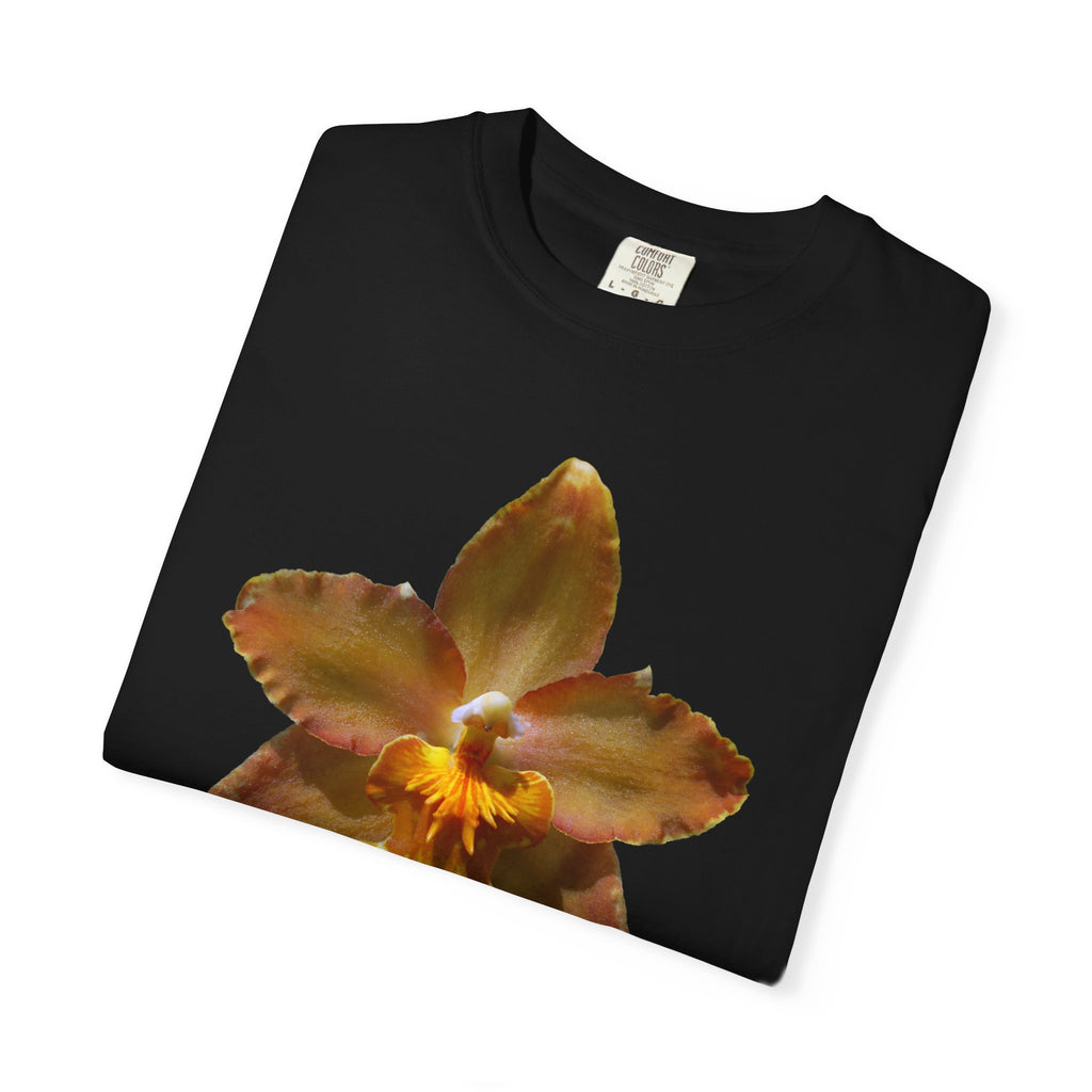 Golden Harmony - Black