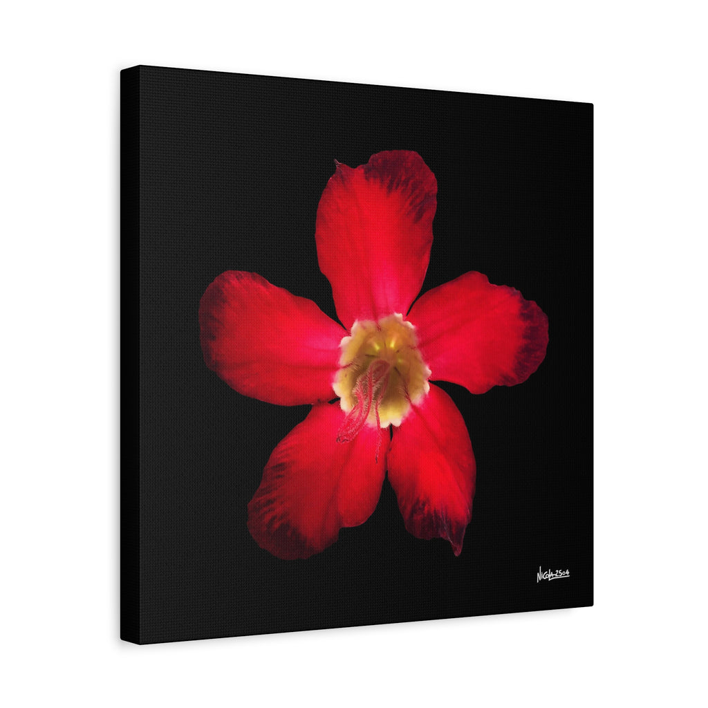 Passion in Bloom - 16X16