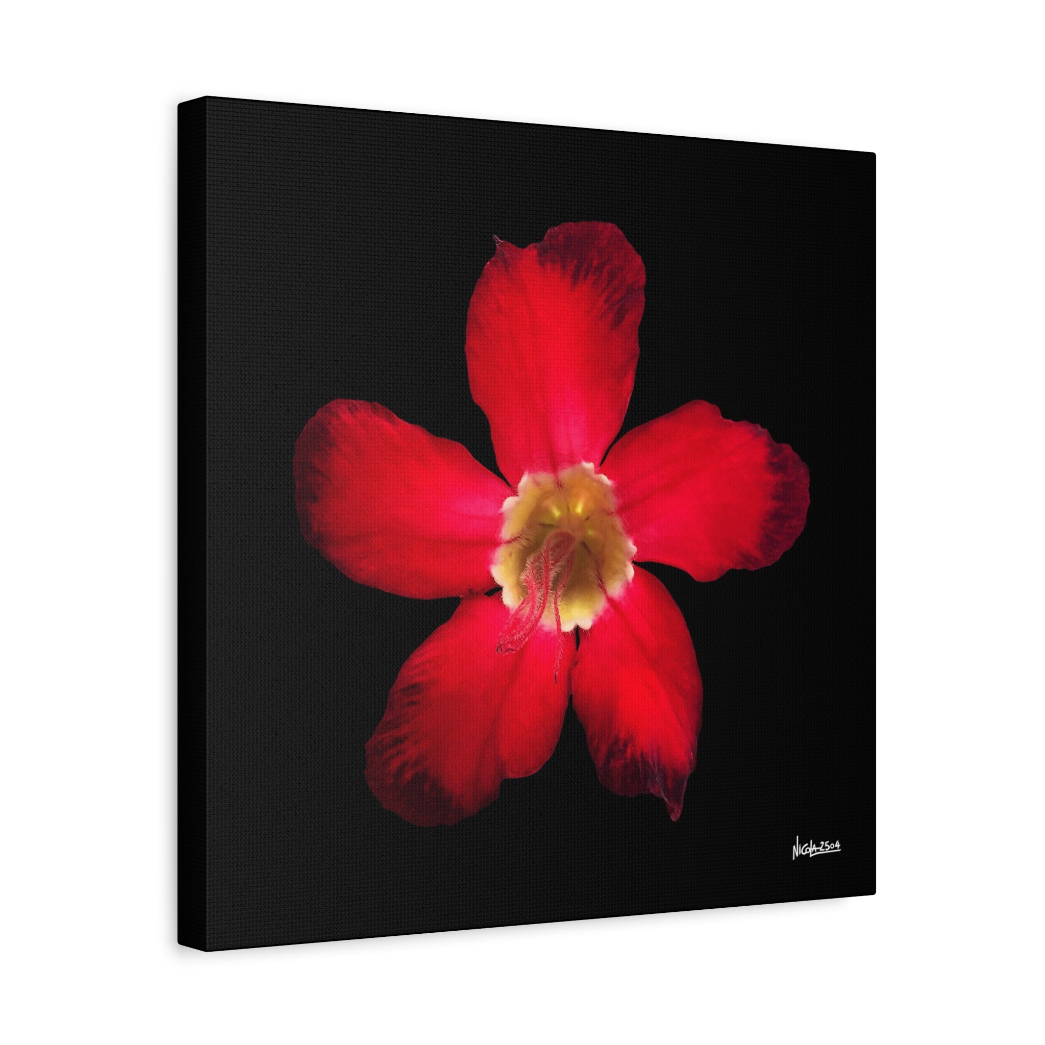 Passion in Bloom - 16X16