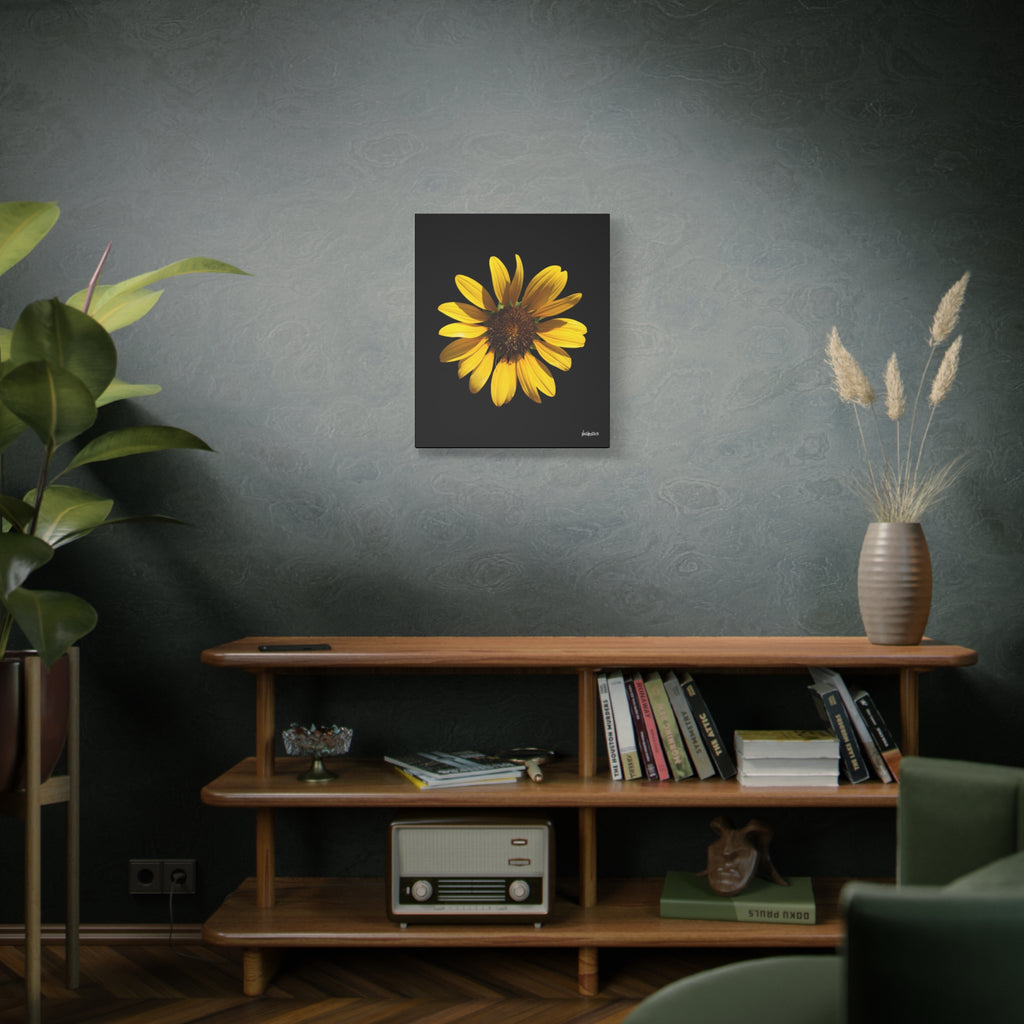 Radiant Inner Sun - 20X24