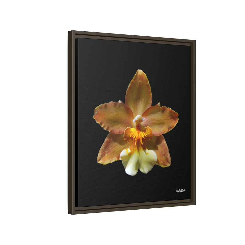 Golden Harmony Framed - 20X24