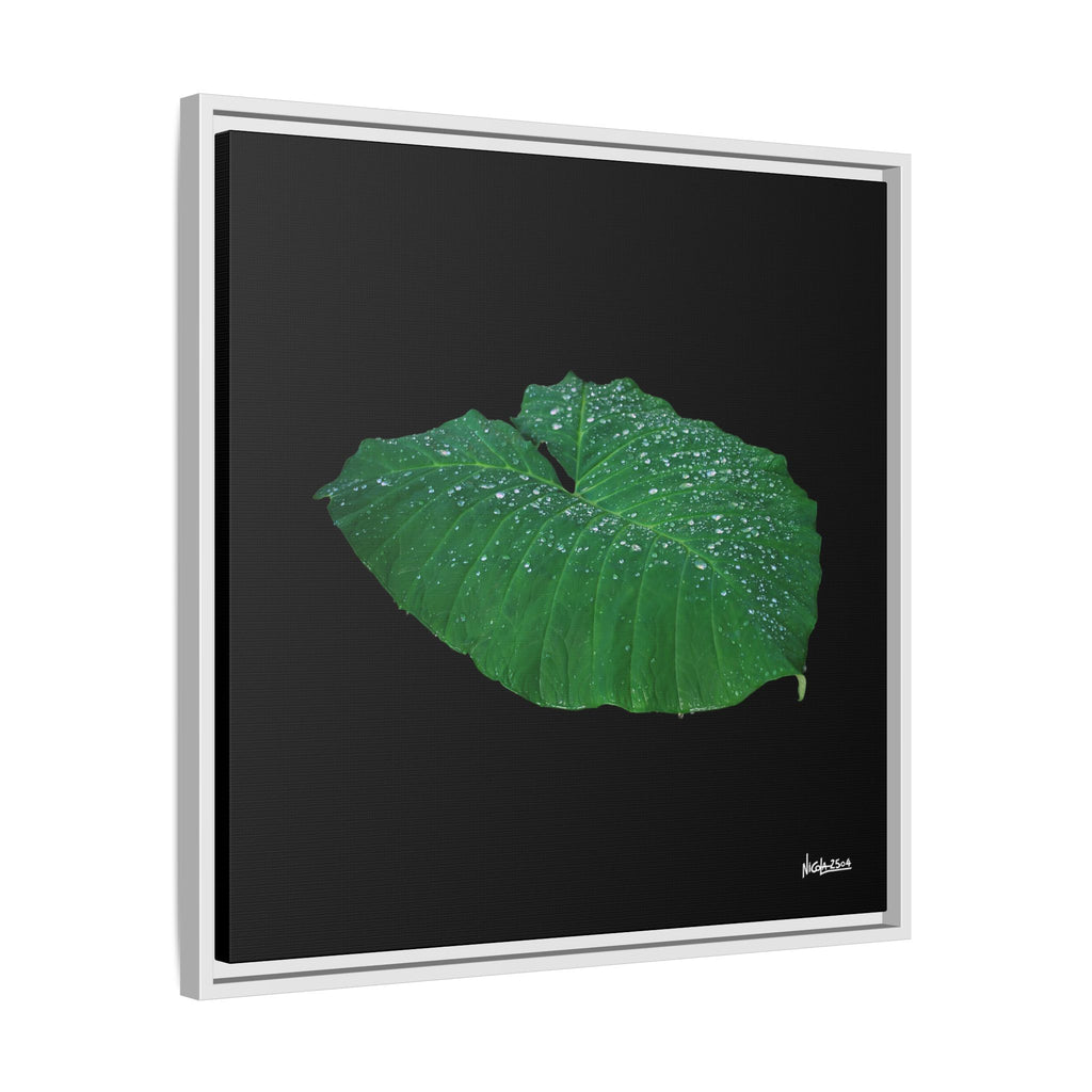 Blessing of the Rain Framed - 24X24