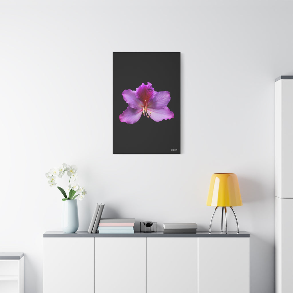 Listening Petals - 24X36