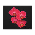 Legacy in Bloom - 24X20