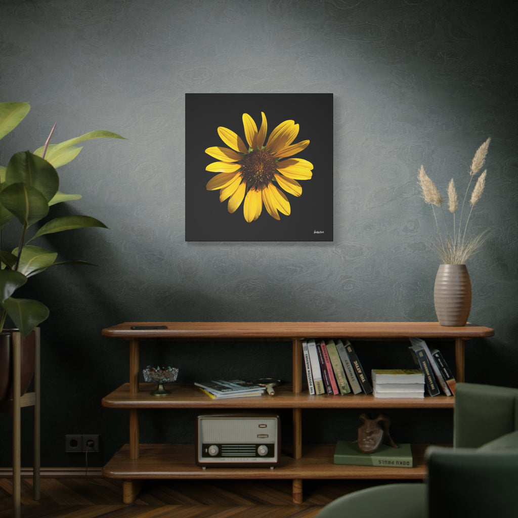 Radiant Inner Sun - 30X30