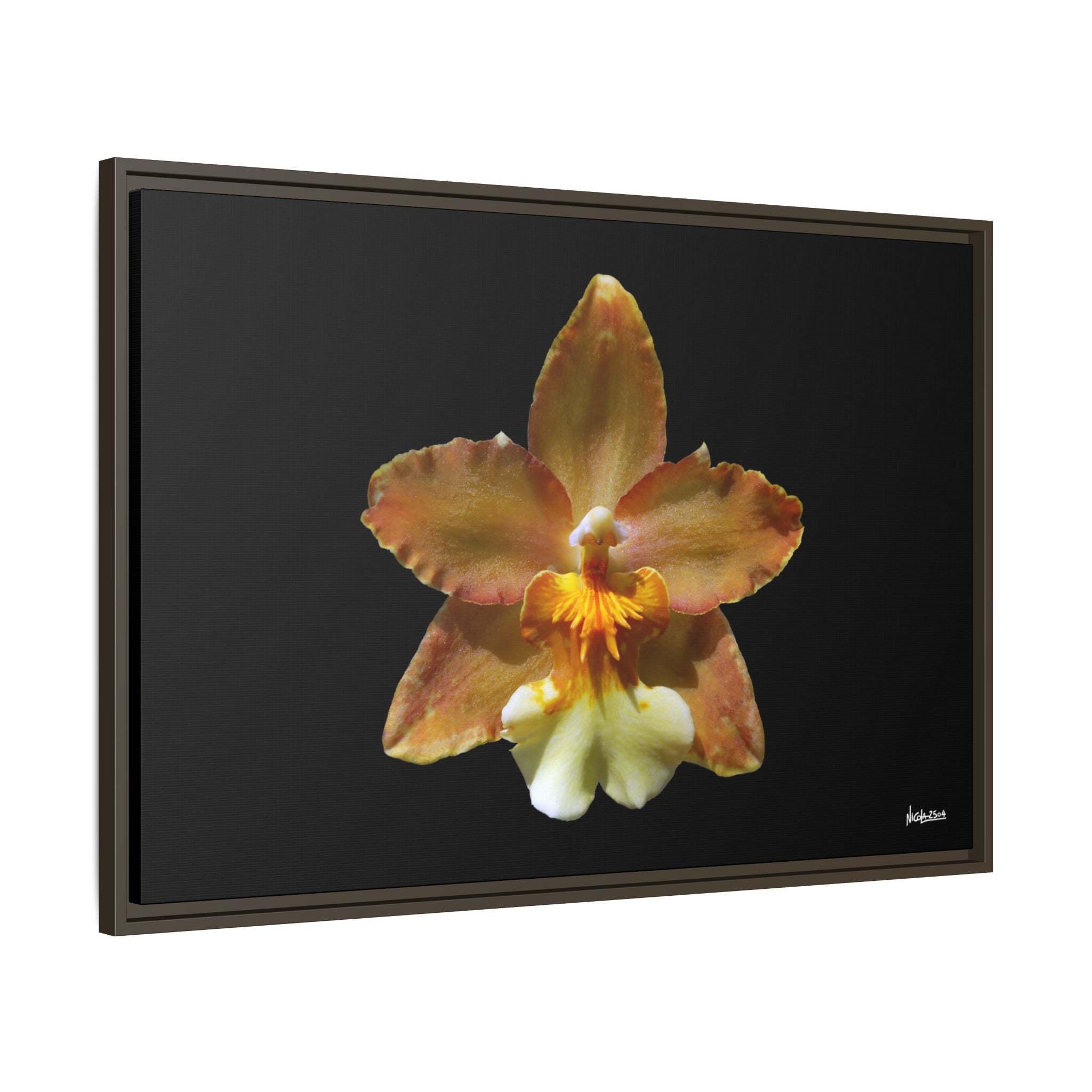 Golden Harmony Framed - 36X24