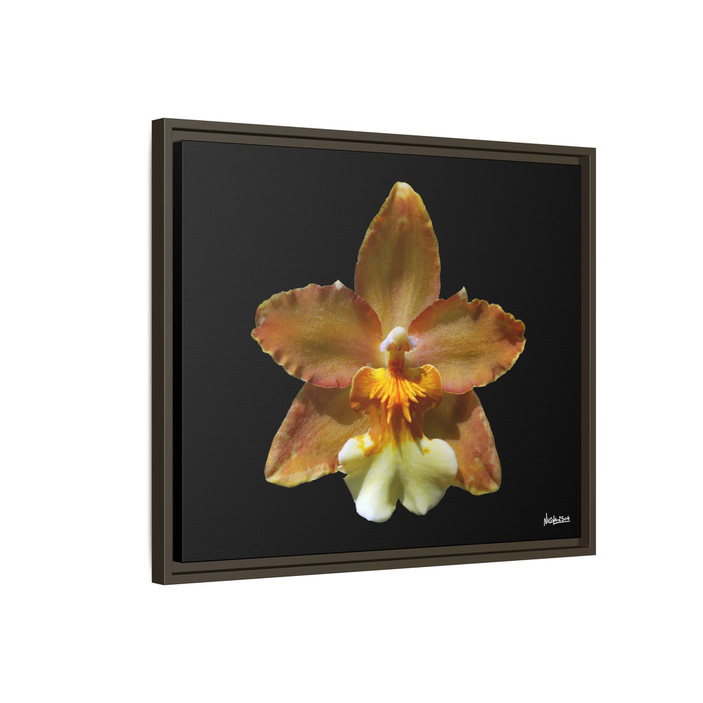 Golden Harmony Framed - 24X20